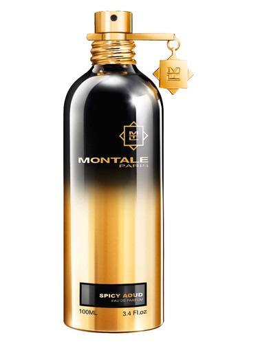 Montale Aoud Spice 100 ML EDP