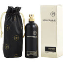 Montale Oudyssee 100 ML EDP