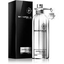 Montale Chypre Fruite 100 ML EDP