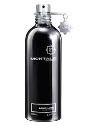 Montale Aoud Lime 100 ML EDP