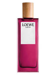 Loewe Solo Loewe Earth 100 ML HM